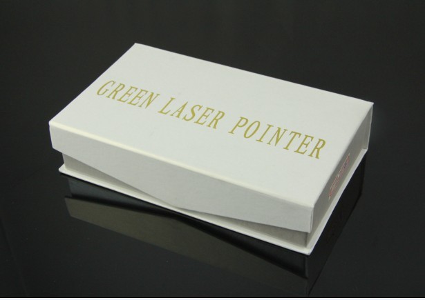 pointeur laser 2000MW 