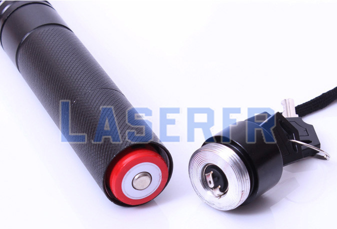 laser vert 1000mw