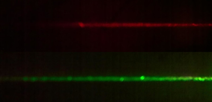 laser double vert et rouge