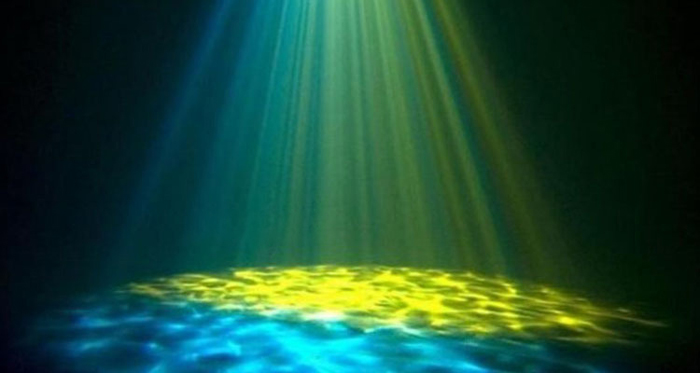 50W d'aquarium lumière d'effet